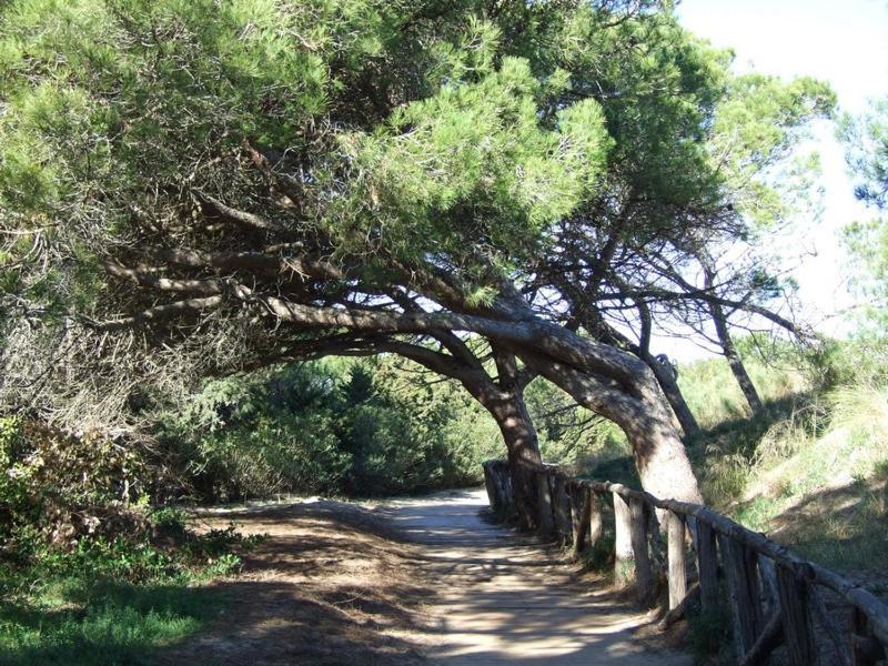 L' Escala Albana Apartaments Turistics מראה חיצוני תמונה